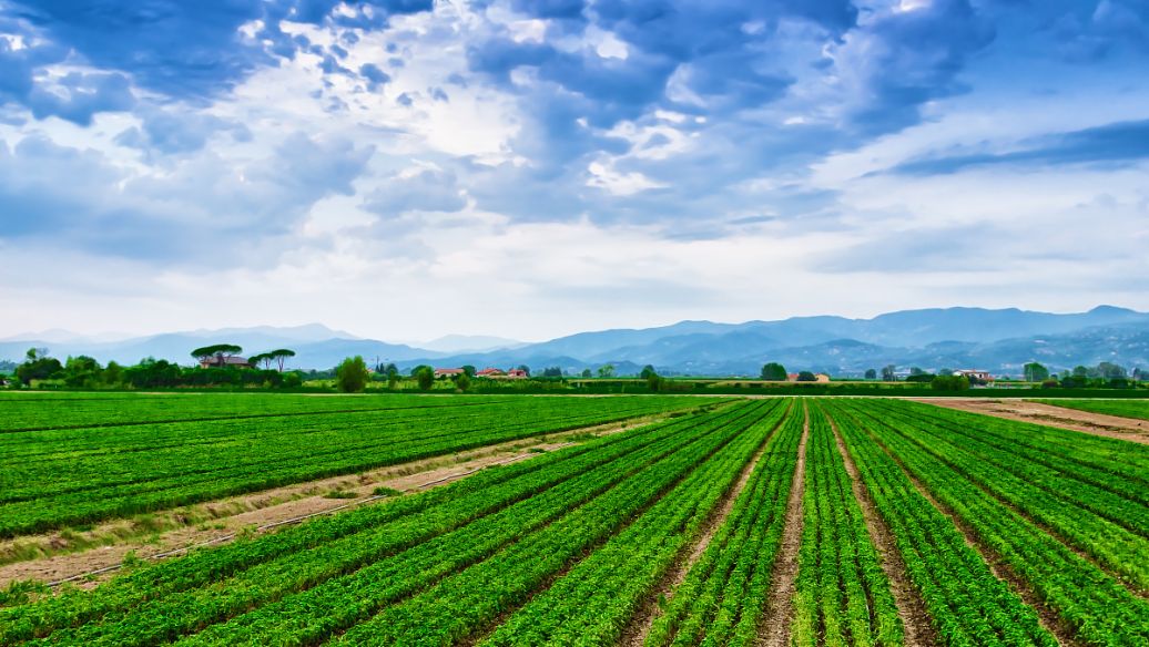中国农业科学院智慧农业宣传片