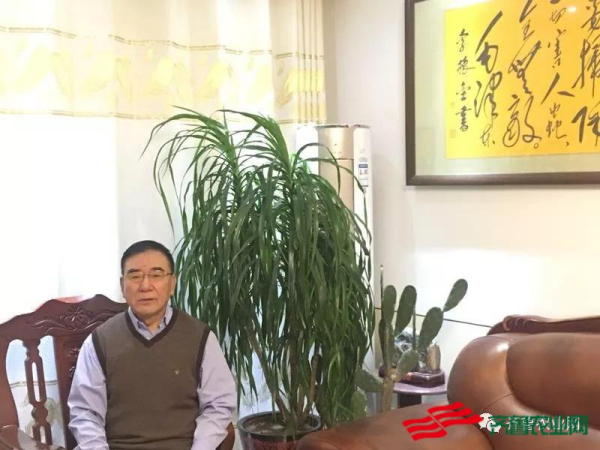 李振金先生的艺术展示